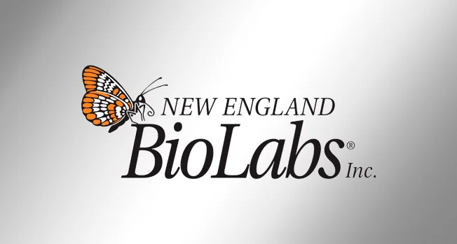 Реагенты для молекулярной биологии New England Biolabs под заказ