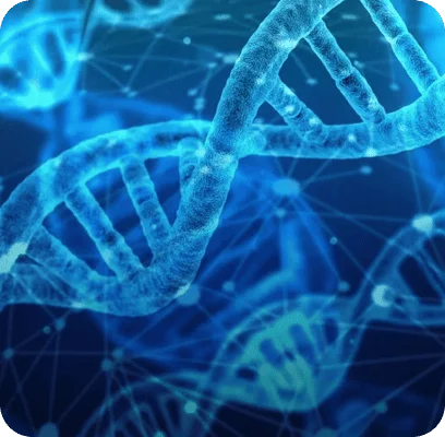 Выделение
и очистка ДНК